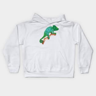 The chameleon constellation Kids Hoodie